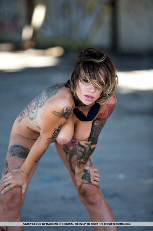 Tatted sweetheart Stacy unclothes